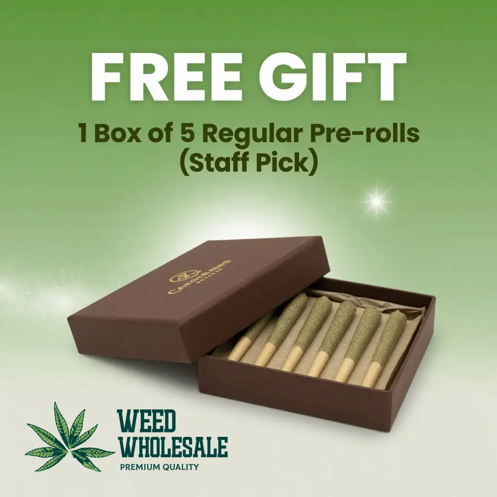 1 Box of 5 Regular Pre-roll