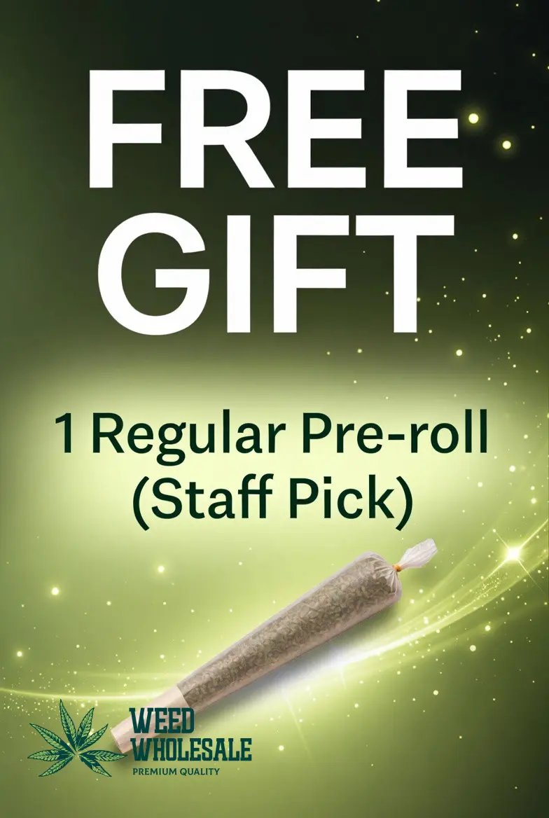 1 Regular Pre-Roll