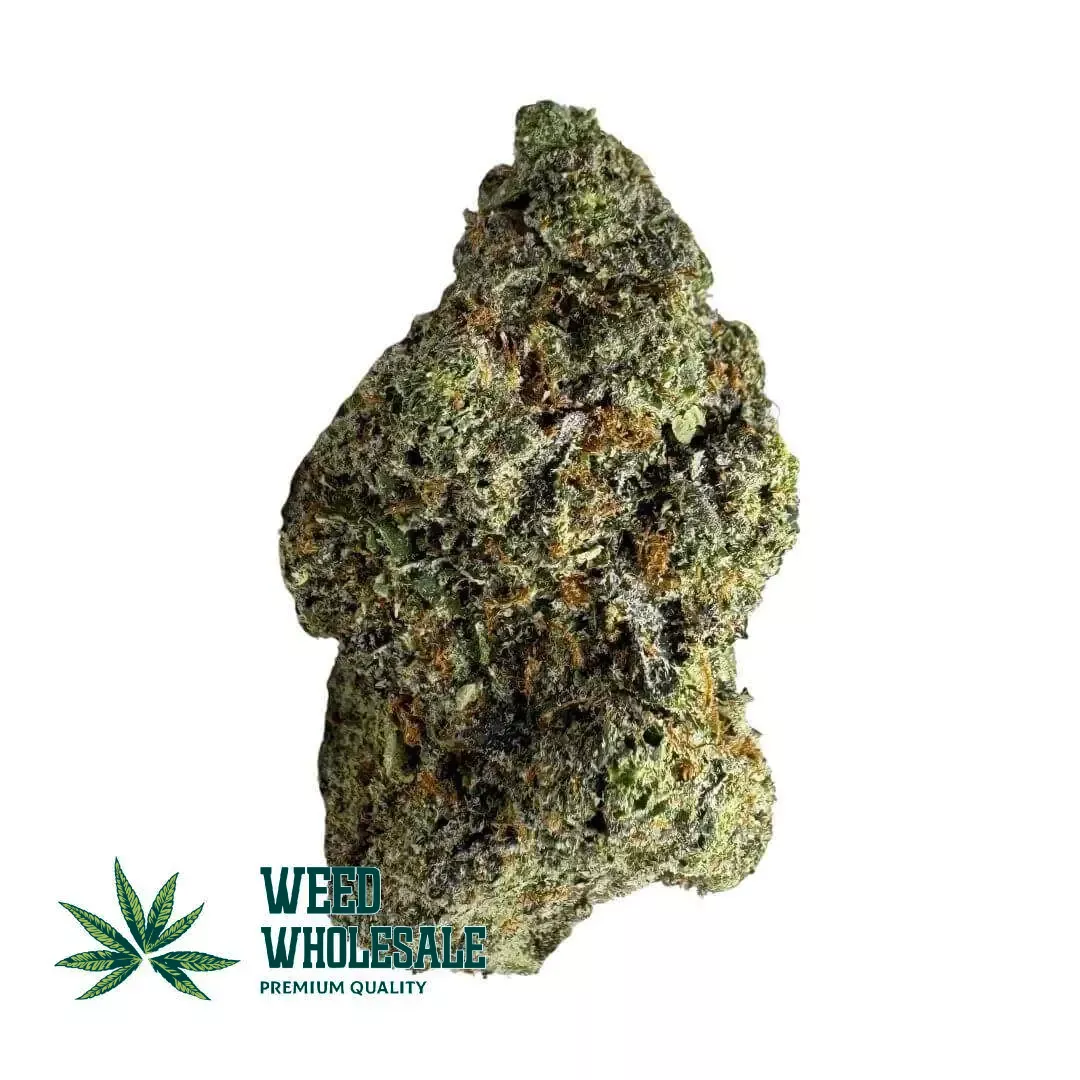 Dense Lava Cake AAAA buds with deep purple hues, bright orange pistils, and heavy frosty trichome coverage.