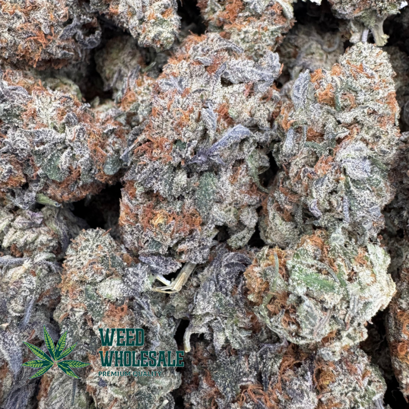 Purple Candy - Image 2