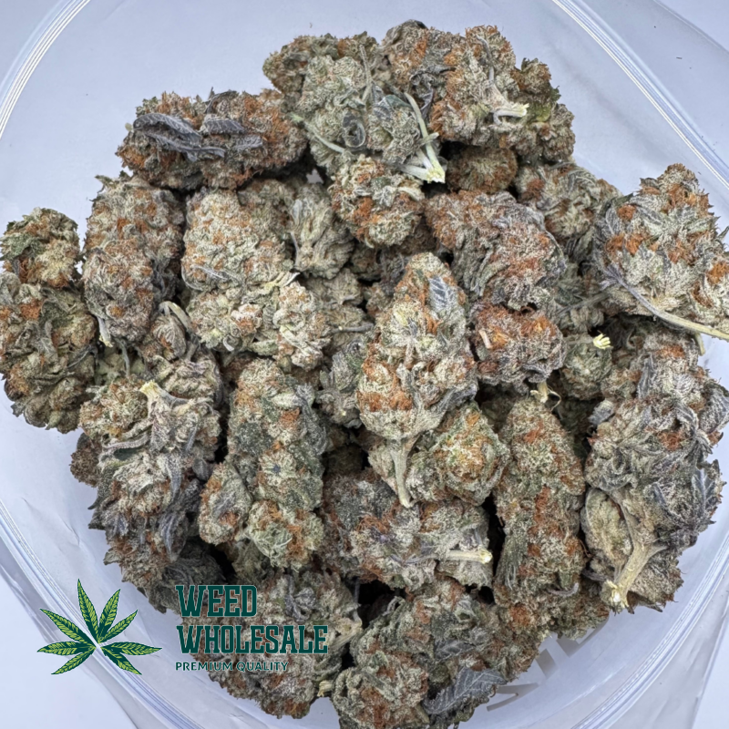 Purple Candy - Image 3