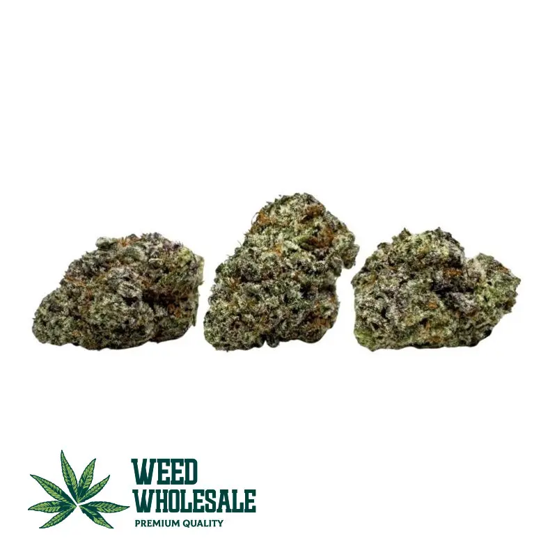 jet fuel gelato