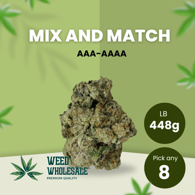 448g AAA - AAAA, Pick any 8 of 56 Grams - 17.5% OFF!!