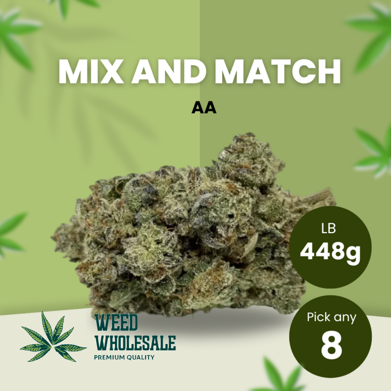 448g AA, Pick any 8