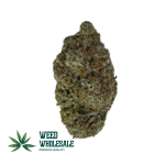 White Lavender (AAA)