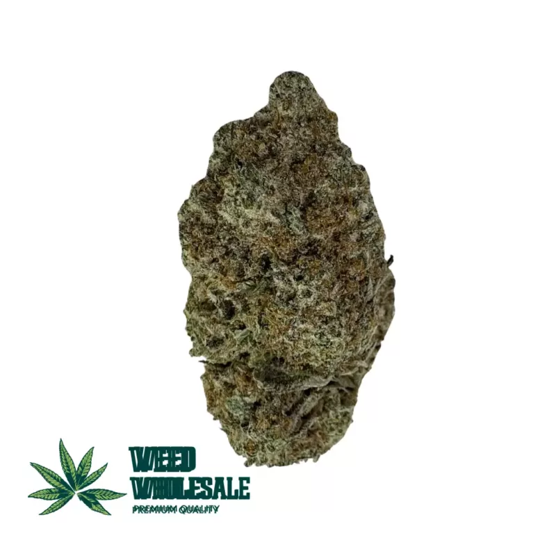 White Lavender