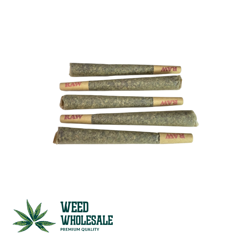 Pre-Roll - Regular - Image 2