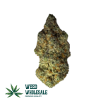 Gelato (AAAA)