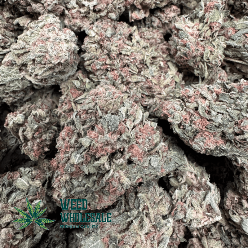 Pink Kush (AA) - Image 2