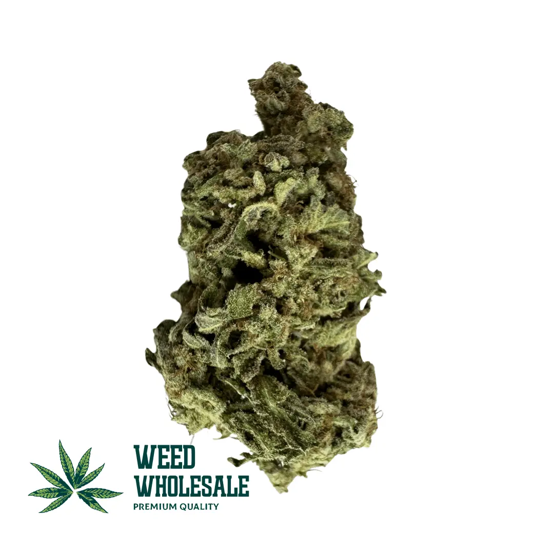 Dense Pink Kush (AA) cannabis buds featuring vibrant pink and purple pistils, forest-green colouring, and a thick coating of frosty crystal trichomes.