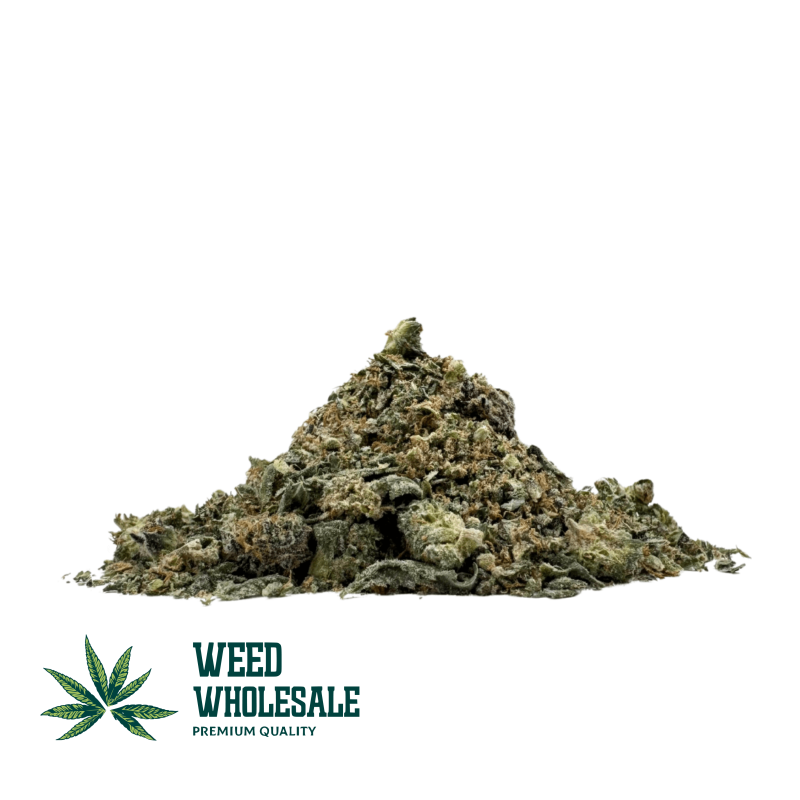 Premium Shake - Hybrid
