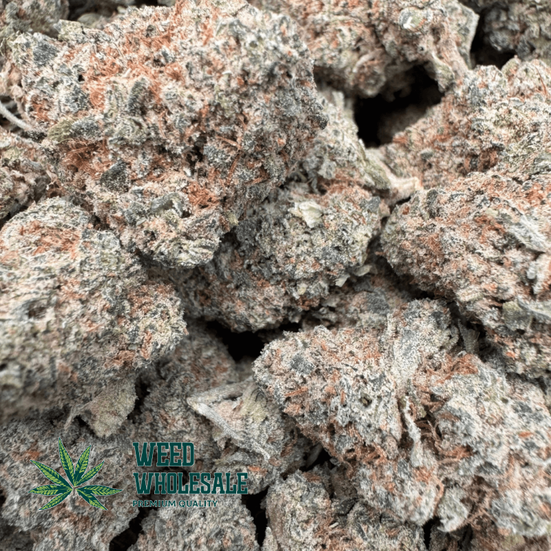 Grape Gas (AAA) - Image 2