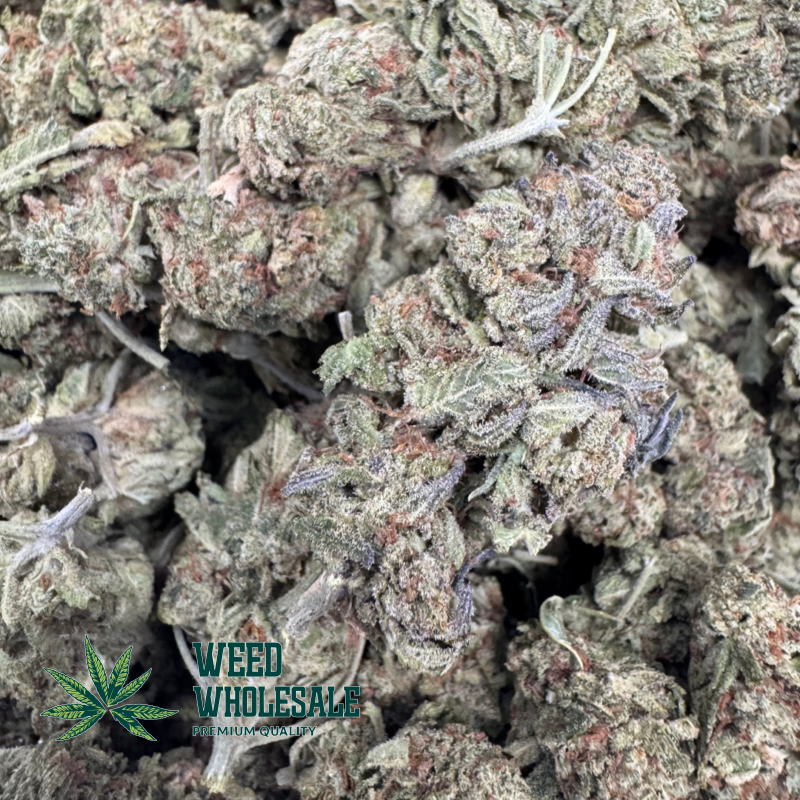 Blue Coma (AA) - Image 3