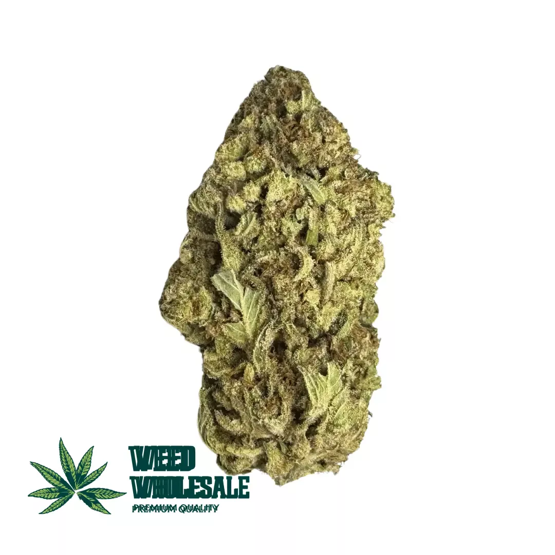 Dense Blue Coma AAA buds with pastel green hues, blue undertones, orange pistils, and frosty trichome-covered cannabis flower.