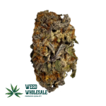 Purple Candy