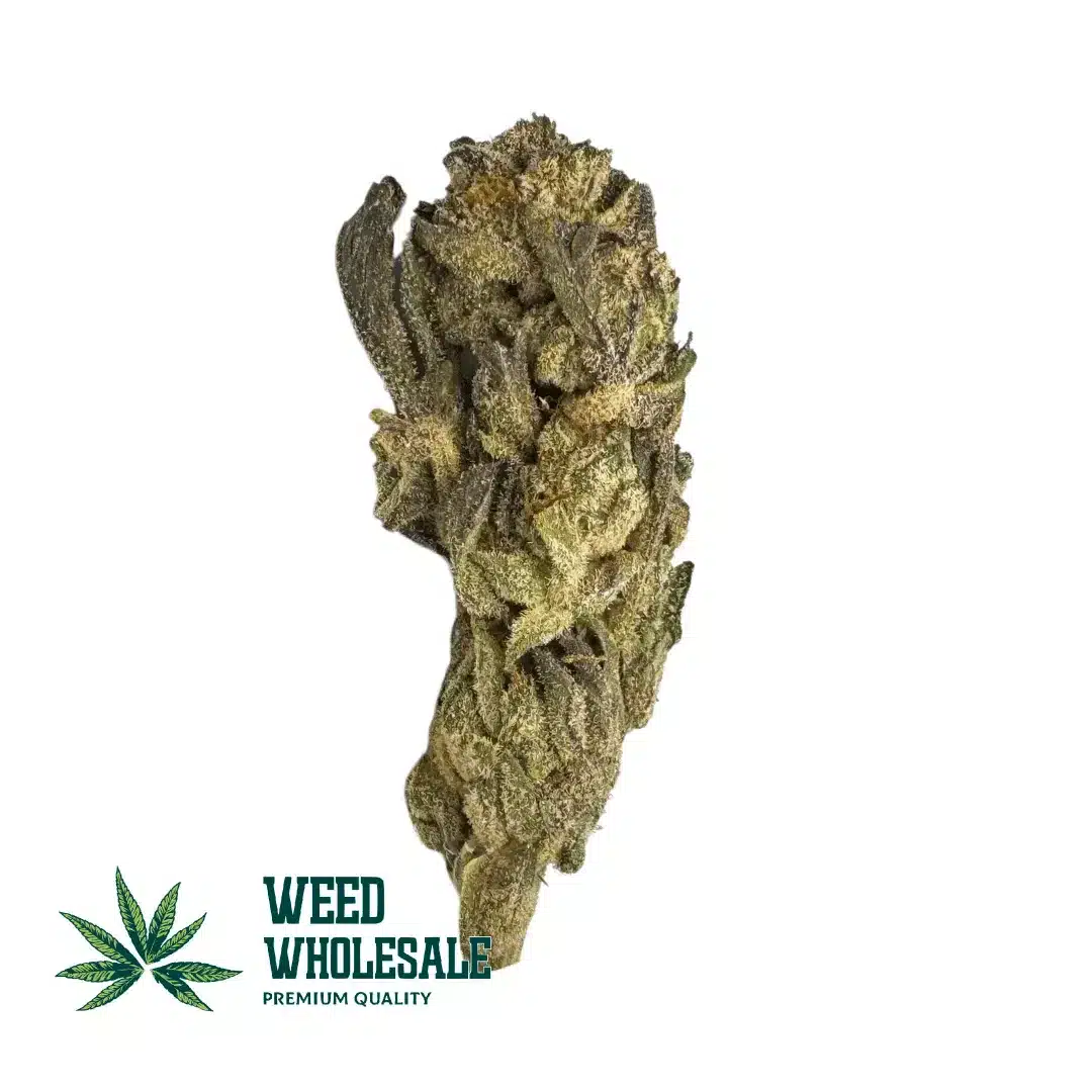 Master Kush (J3)