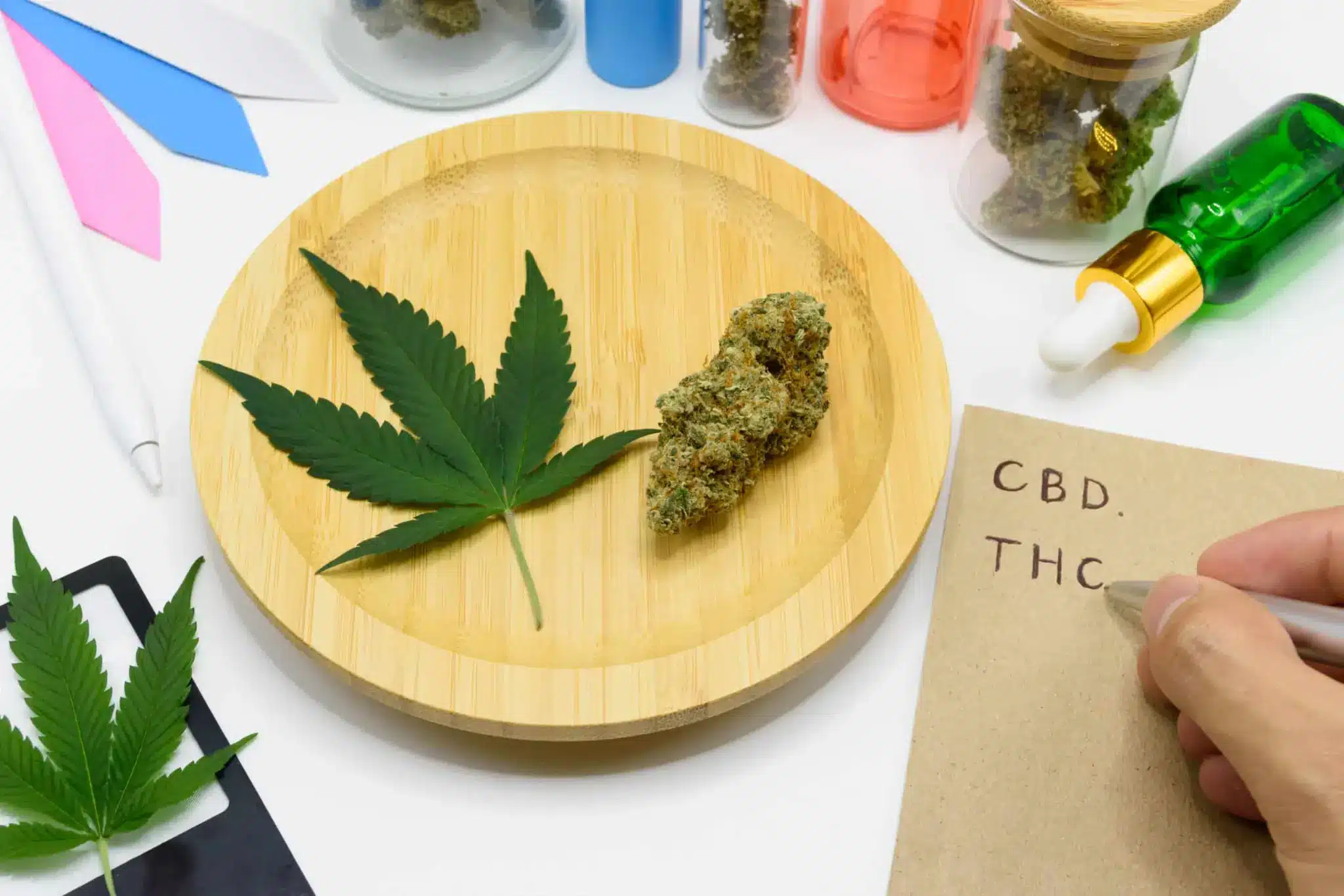 Cannabis buds