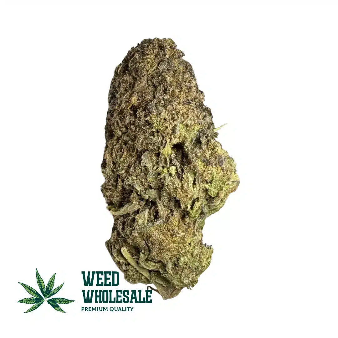Dense Unicorn Poop (AA) cannabis buds displaying vibrant purple hues, frosty trichomes, bright orange pistils, and sticky resin coverage.
