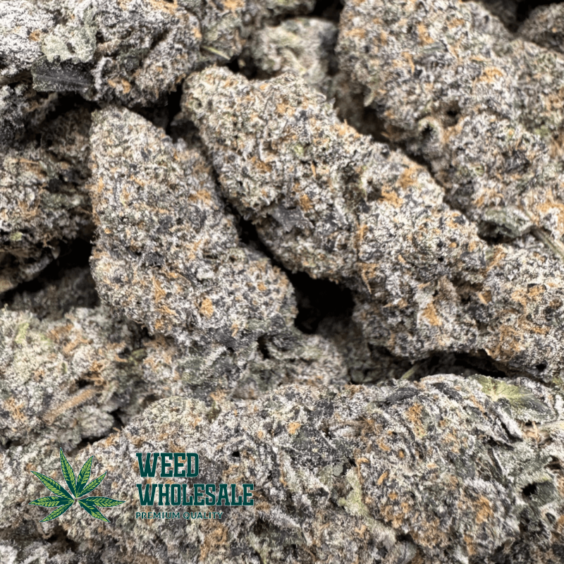 Lemon Gelato (AAAA) - Image 2