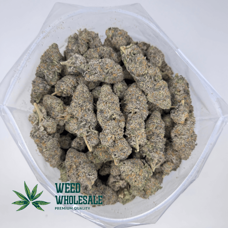 Lemon Gelato (AAAA) - Image 3