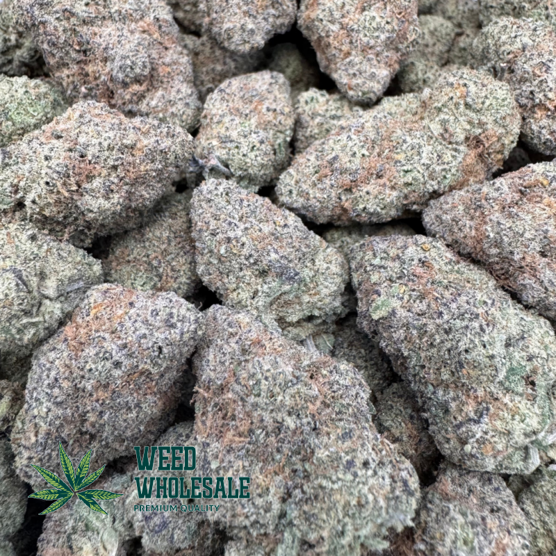 Pink Champagne (AAAA) - Image 2