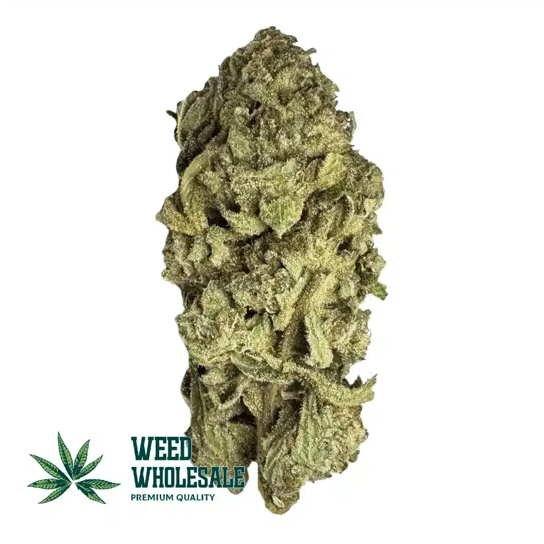 Dense OGKB (AA) cannabis buds featuring frosty trichomes, forest-green colours, purple accents, and bright orange pistils.