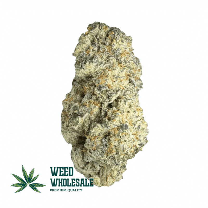 Dante's Inferno #8 - LSO (AAAA+ Craft)