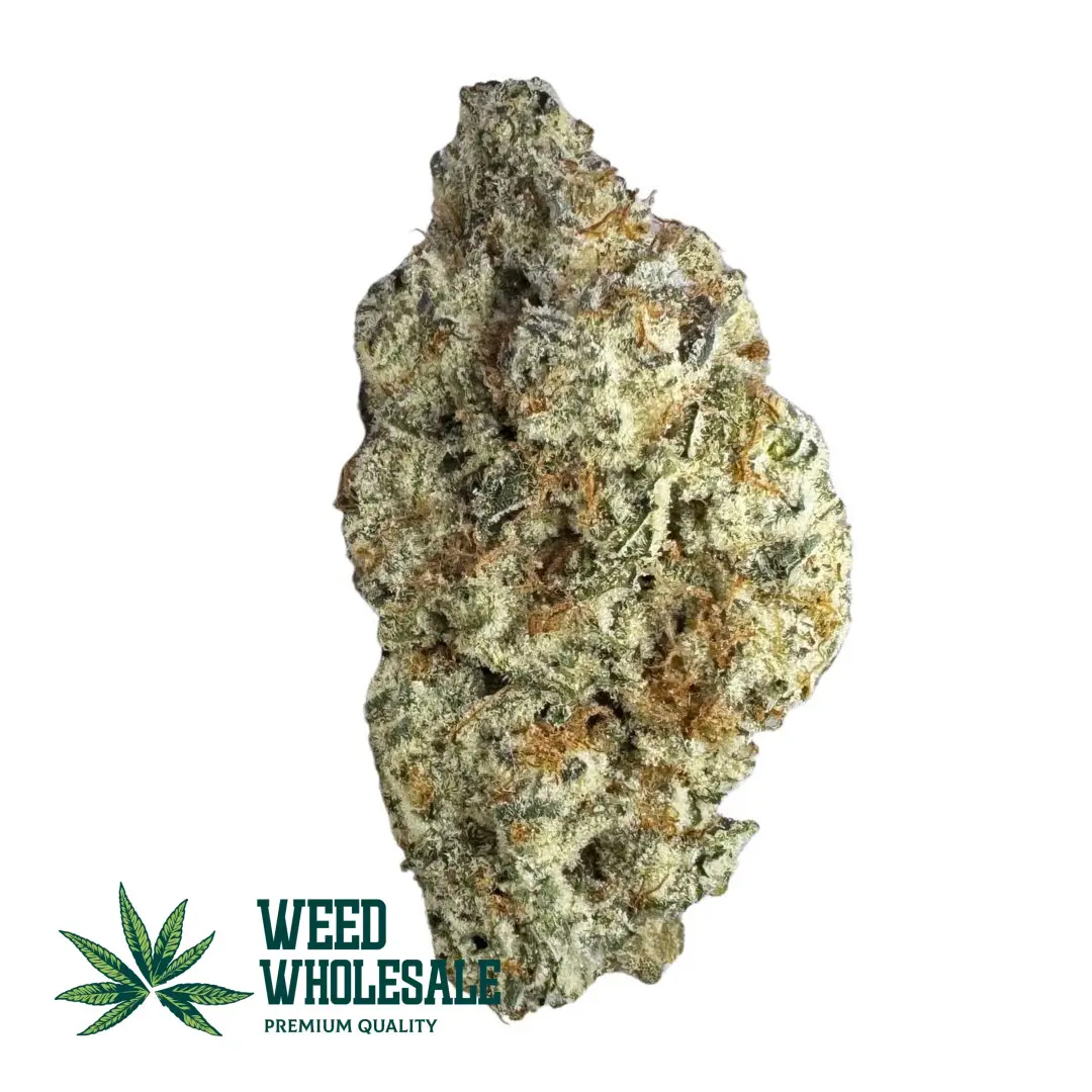 Macro shot of a single Dante’s Inferno AAAA bud, highlighting the contrast between frosty white trichomes, fiery orange hairs, and deep purple-green leaves.