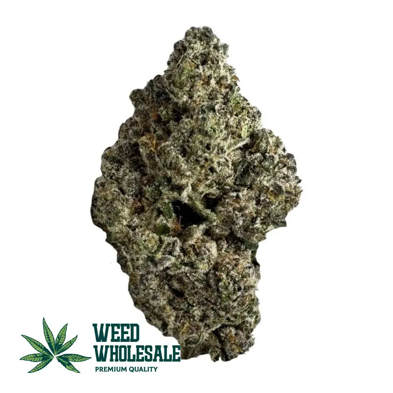 Black Truffle