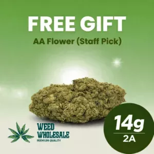 14g AA Flower (Staff Pick)