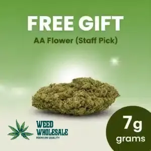 7 Grams AA Flower (Staff Pick)