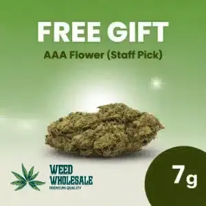 7 Grams AAA Flower (Staff Pick)