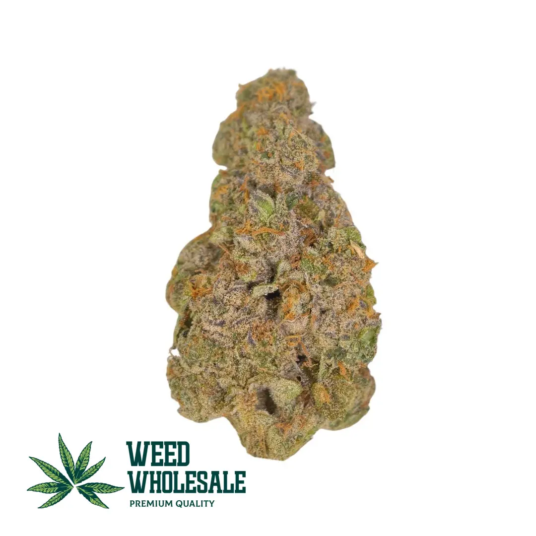 A chunky BC Mango AA cannabis bud showing light green leaves, fiery orange hairs, and mature seeds visible within the flower structure - Weed Wholesale Canada