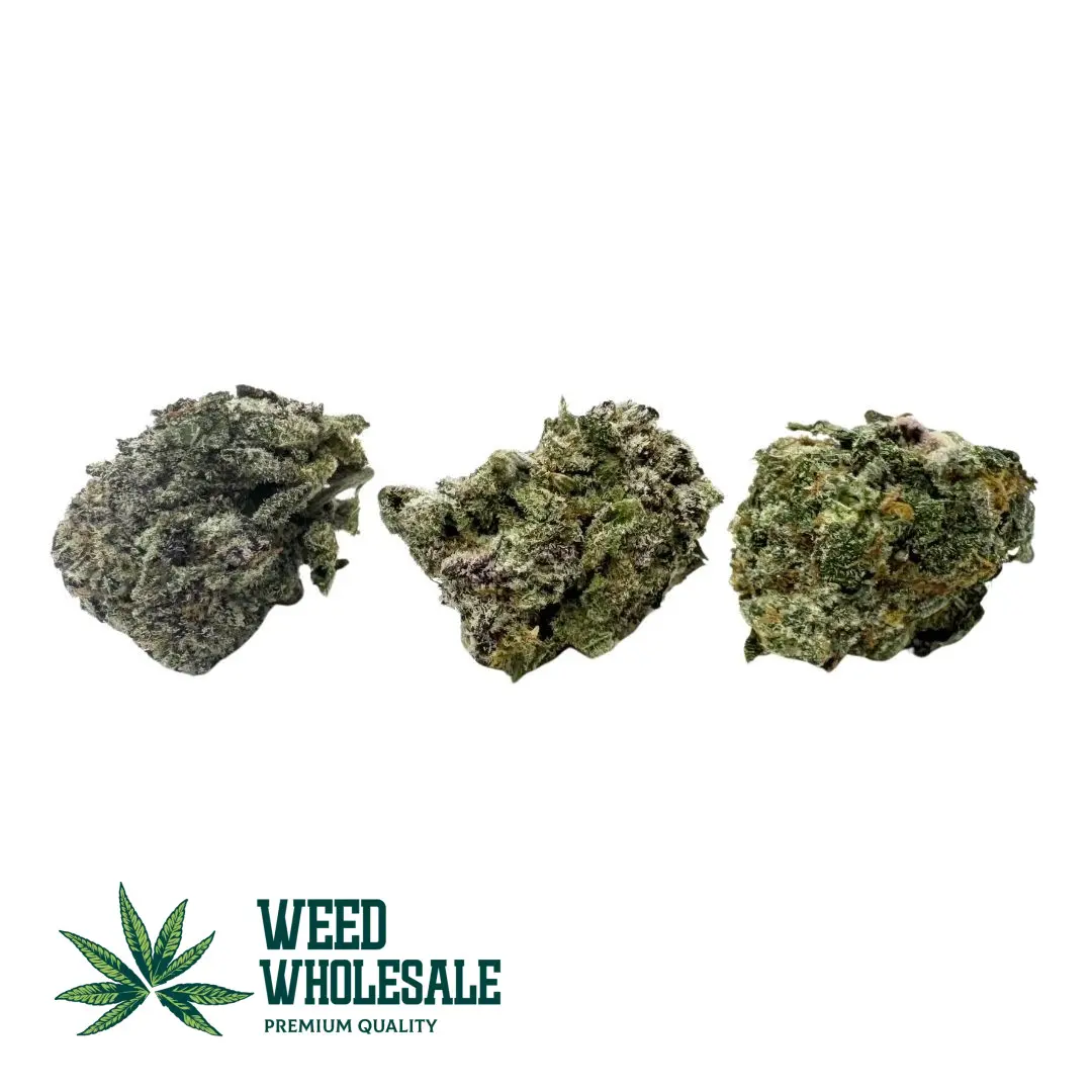 Dense, marble-sized Cherry Tahoe (AAA Popcorn) buds with dark green and purple foliage, copper-orange pistils, and a thick coating of amber-tinted trichomes.