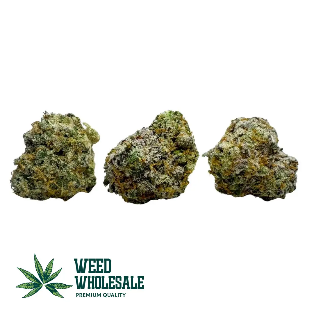 Dense Ice Cream Cake AAA popcorn cannabis buds featuring purple and forest green hues coated in thick frosting-like white trichomes with bright orange pistils.