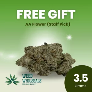 3.5 AA Free Gift (Staff Pick)