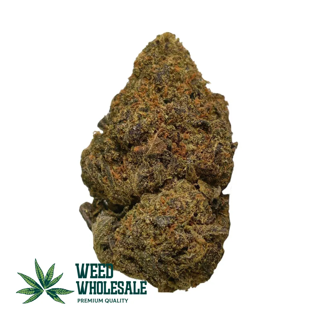 Dense Pave Runtz AAAA buds displaying deep purple hues, thick frosty trichomes, bright orange pistils, and sticky resin-coated craft flower structure