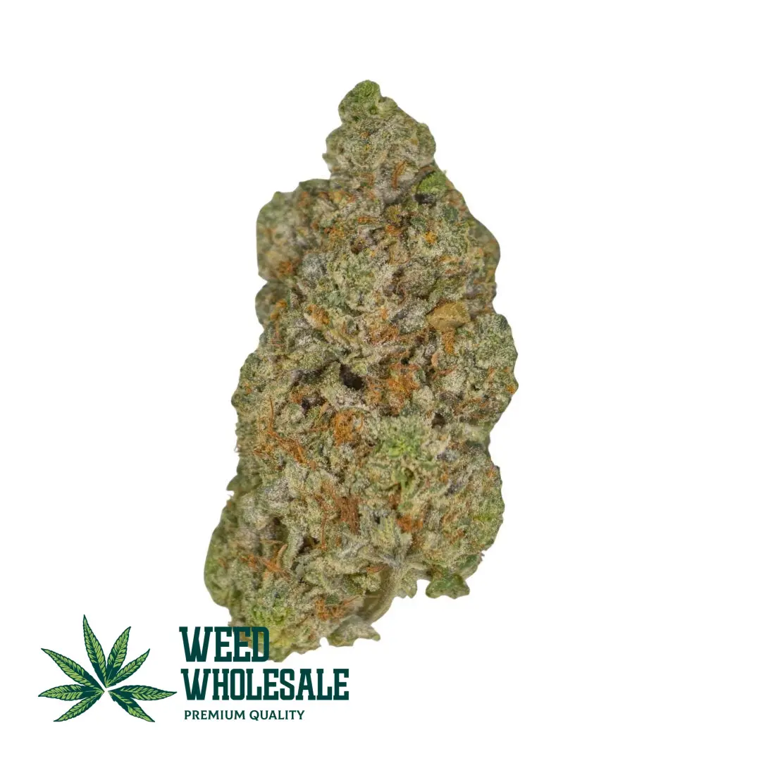 Silver Haze (AAA)