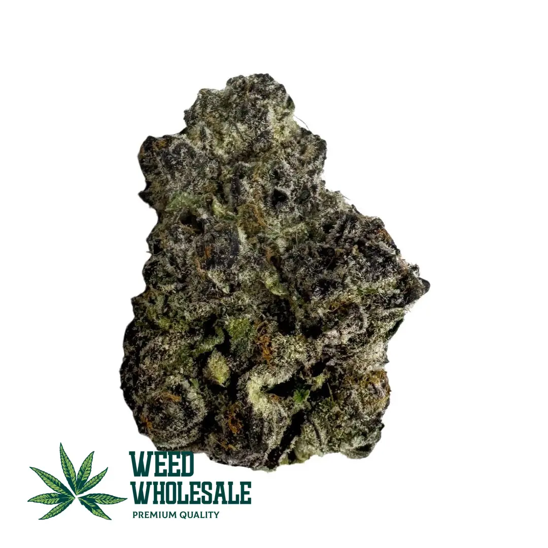 High-quality Sour Pez (AAAA) cannabis bud, dense and frosty with lime & forest green leaves, bright orange hairs, and a heavy coating of white trichomes.
