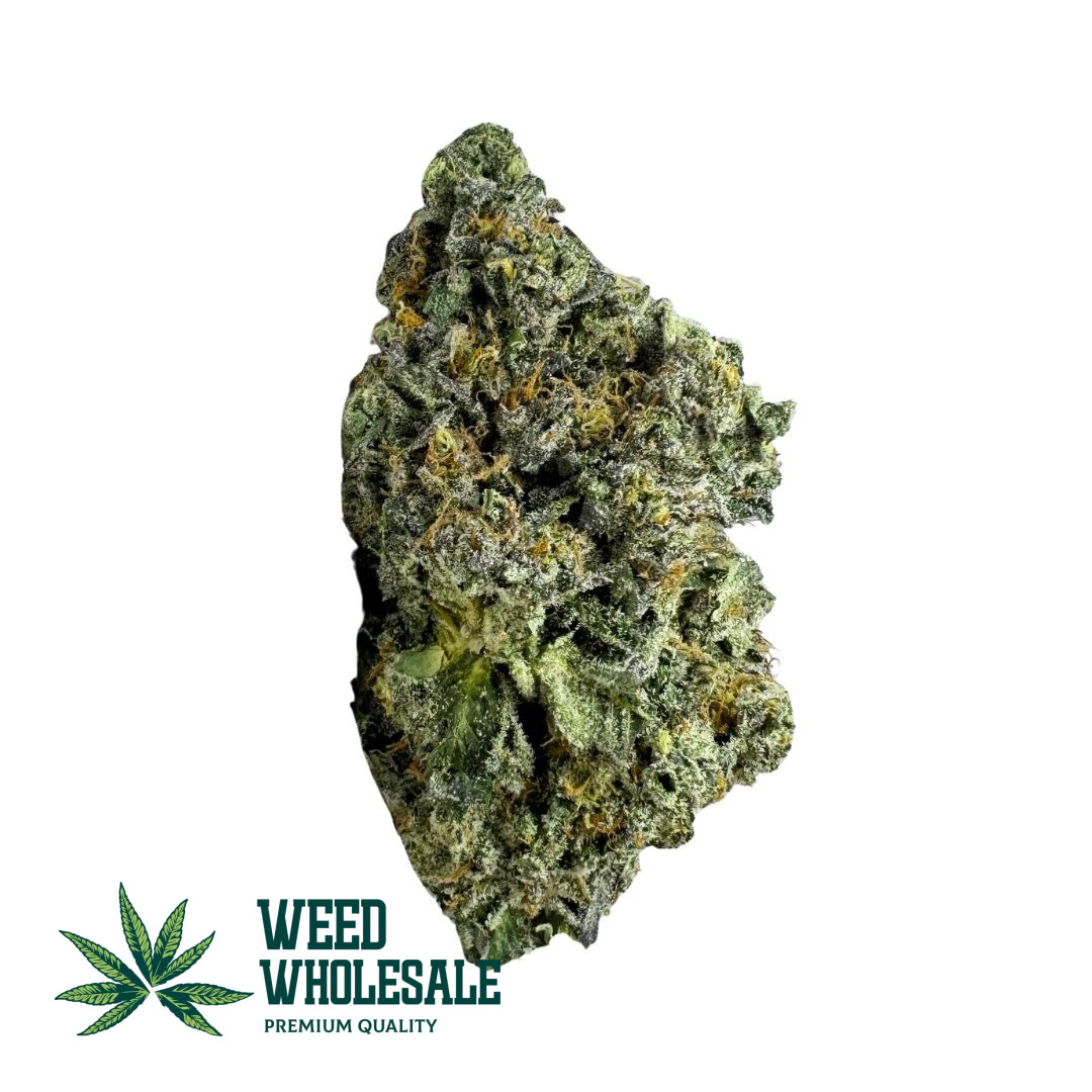 Dense Triangle Kush AAAA buds with forest-green hues, amber-orange pistils, and heavy frosty trichome coverage.