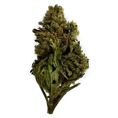 A highly detailed macro shot of one Bubba Kush nug covered in sparkling trichomes with a clean white background
